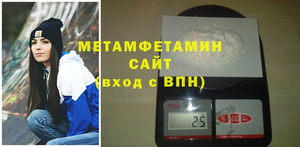 гидра Горняк