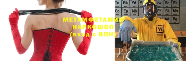 гидра Горняк
