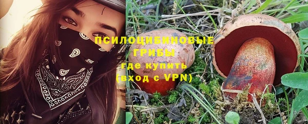 мет Горно-Алтайск