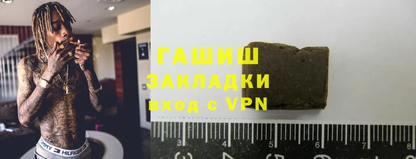 гидра Горняк