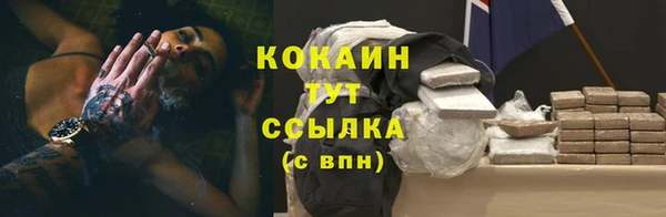 гидра Горняк
