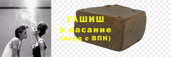 гидра Горняк