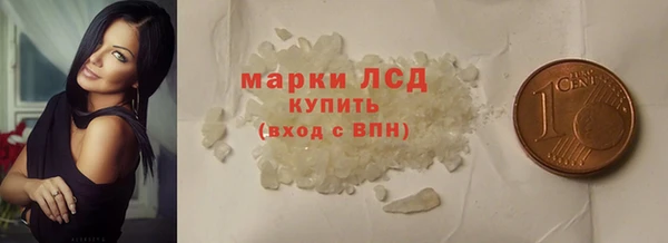 гидра Горняк