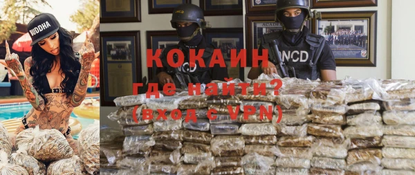 гидра Горняк