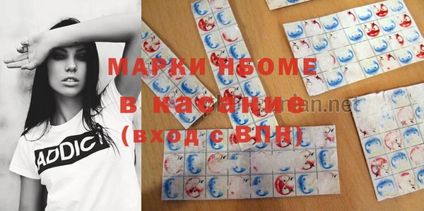 гидра Горняк