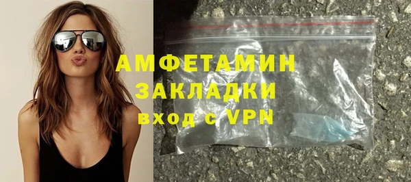 гидра Горняк