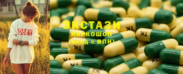 гидра Горняк