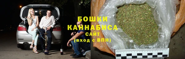 гидра Горняк